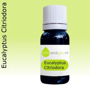 Eucalyptus citriodora