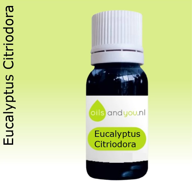 Eucalyptus citriodora